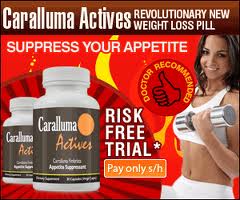 Caralluma Actives Appetite Suppressant Pills